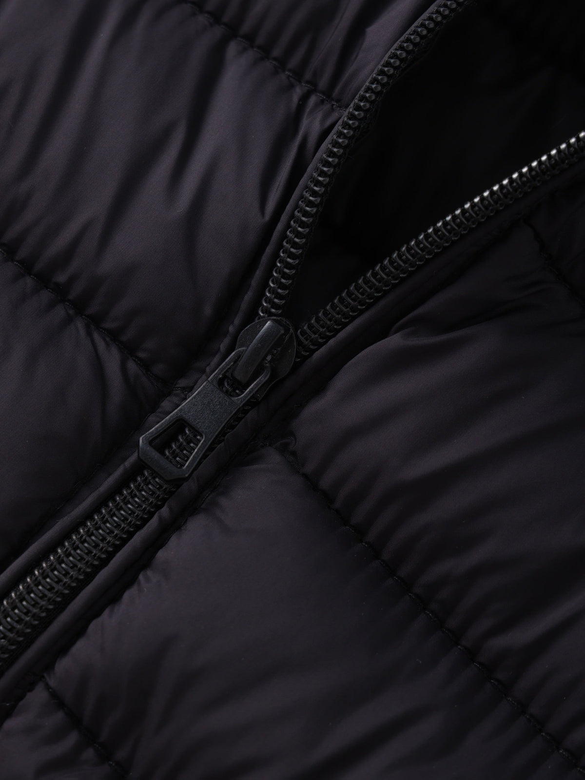 Celeste Lightweight Padded Jacket