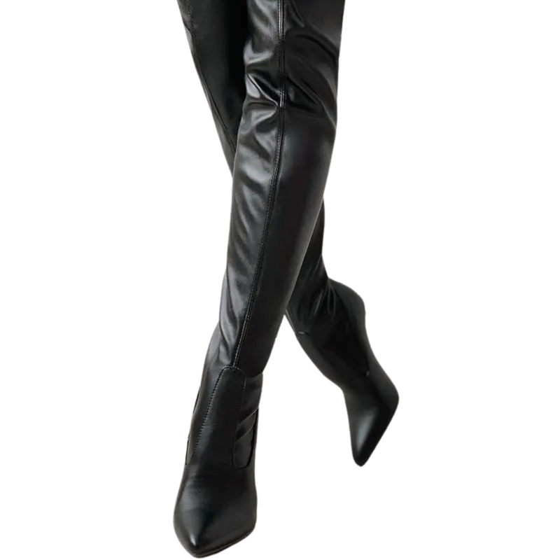Fiona Women's Stiletto Over the Knee Boots