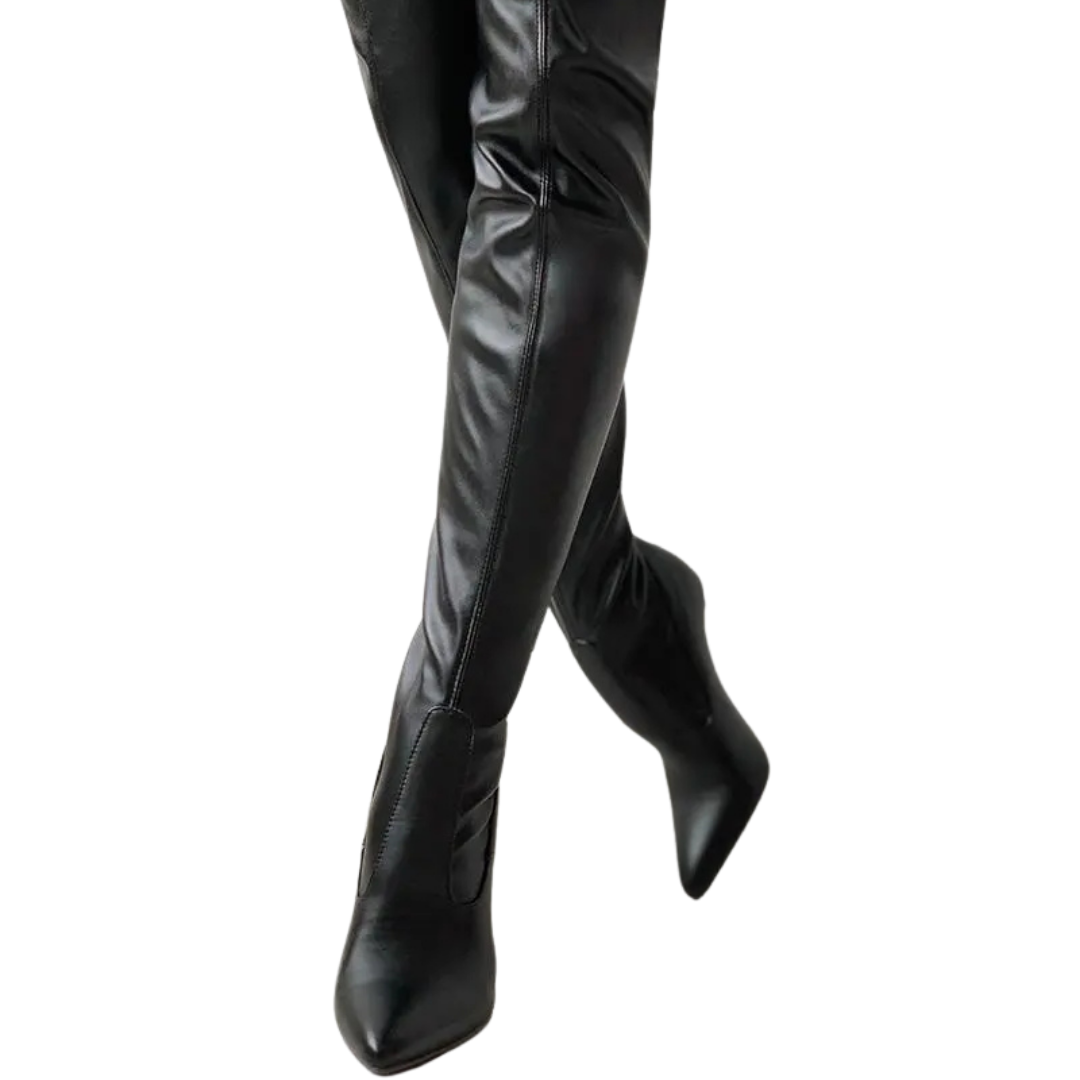 Fiona Women's Stiletto Over the Knee Boots